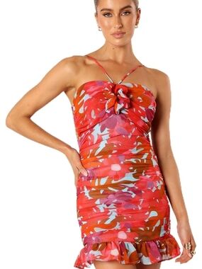 Nwt XL Petal & Pup Women's Zuri Rosette Mini Dress